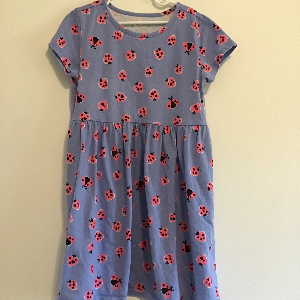 BCG Ladybug Dress with Pockets